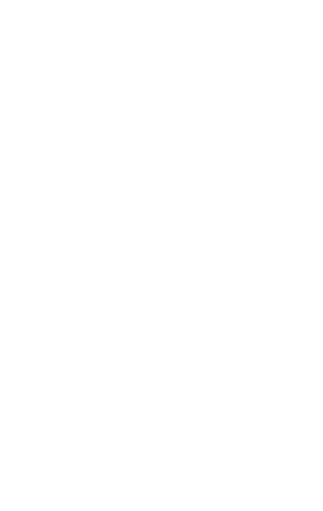 Femme line art 1